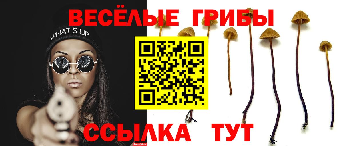 Псилоцибиновые грибы Magic Shrooms  Вход с VPN  Петрозаводск 